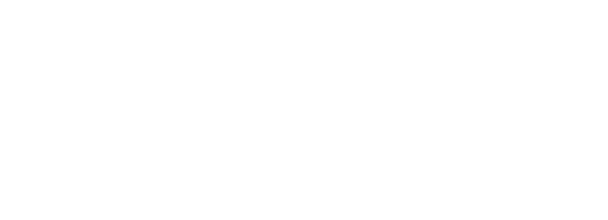 Echo Performance Health